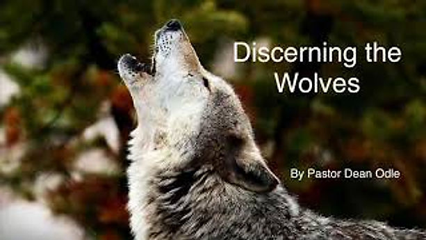 Discerning the Wolves
